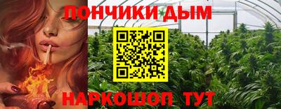 кокс Кимры