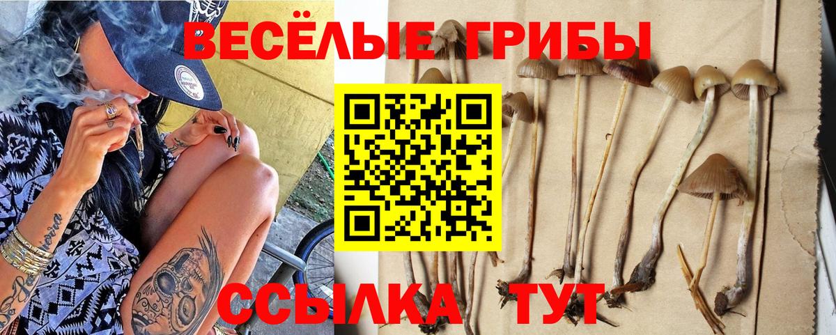Галлюциногенные грибы Magic Shrooms  как найти закладки  Кемерово  Вход с VPN 